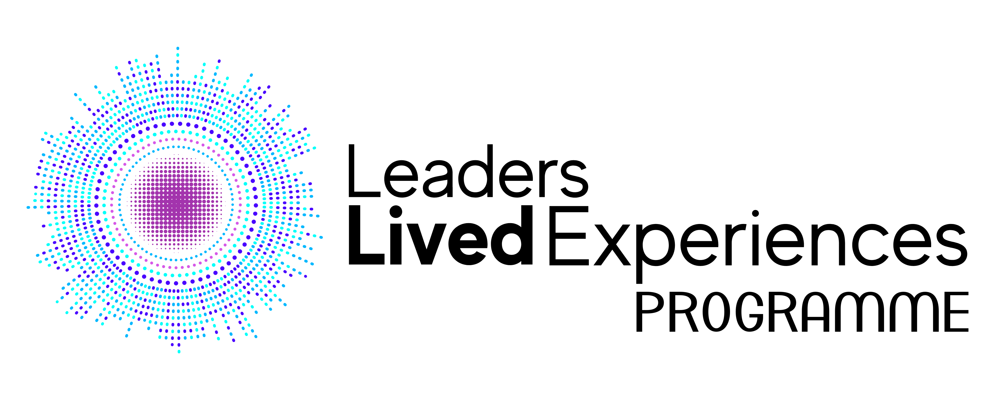 Leaders with Lived Experience Programmes